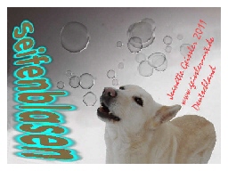 Mailart 2011 - Niederlande - Seifenblasen / Blowingbubbles - Jeanette Geissler - Fotomontage