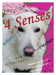 Mailart 2011 - Rußland - 4 Senses / 4 Sinne - Jeanette Geissler - Fotomontage