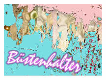 Mail-Art 2011 - Argentinien - Bra /  Büstenhalter - Jeanette Geissler - Fotomontage